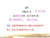 部编版三年级上册语文授课课件 第2单元 4.古诗三首——山行品读释疑课件