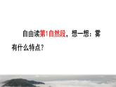 部编版二年级上册语文 第7单元 19  雾在哪里品读释疑课件