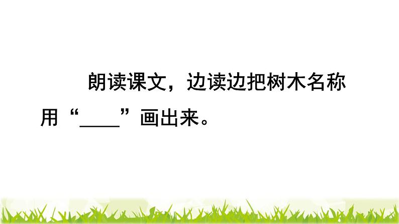 部编版二年级上册语文 第2单元 2.树之歌品读释疑课件第3页