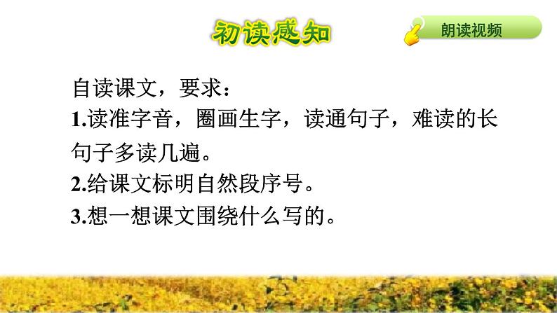 部编版三年级上册语文授课课件 第2单元 6.秋天的雨初读感知课件03