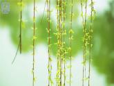 部编版二年级上册语文 第2单元 4.田家四季歌课前预习课件