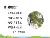 部编版二年级上册语文 第8单元 24  风娃娃初读感知课件