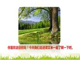 部编版二年级上册语文 第2单元 2.树之歌初读感知课件