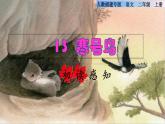 部编版二年级上册语文 第5单元 13  寒号鸟初读感知课件