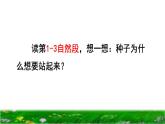 部编版三年级上册语文授课课件 第3单元 9  那一定会很好品读释疑课件
