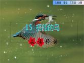 部编版三年级上册语文授课课件 第5单元 15  搭船的鸟品读释疑课件