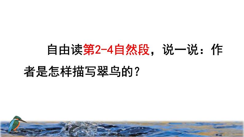 部编版三年级上册语文授课课件 第5单元 15  搭船的鸟品读释疑课件第8页