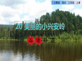 部编版三年级上册语文授课课件 第6单元  20 美丽的小兴安岭品读释疑课件