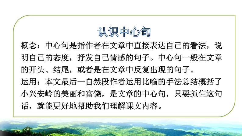 部编版三年级上册语文授课课件 第6单元  20 美丽的小兴安岭品读释疑课件第5页