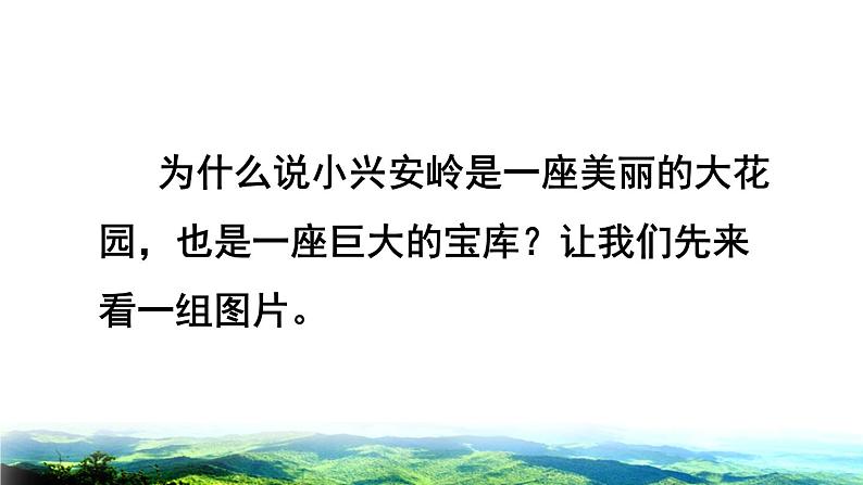 部编版三年级上册语文授课课件 第6单元  20 美丽的小兴安岭品读释疑课件第6页