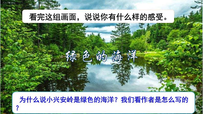 部编版三年级上册语文授课课件 第6单元  20 美丽的小兴安岭品读释疑课件第7页