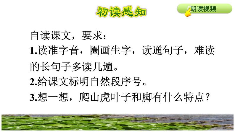 部编版四年级上册语文 第三单元 10爬山虎的脚初读感知课件第3页