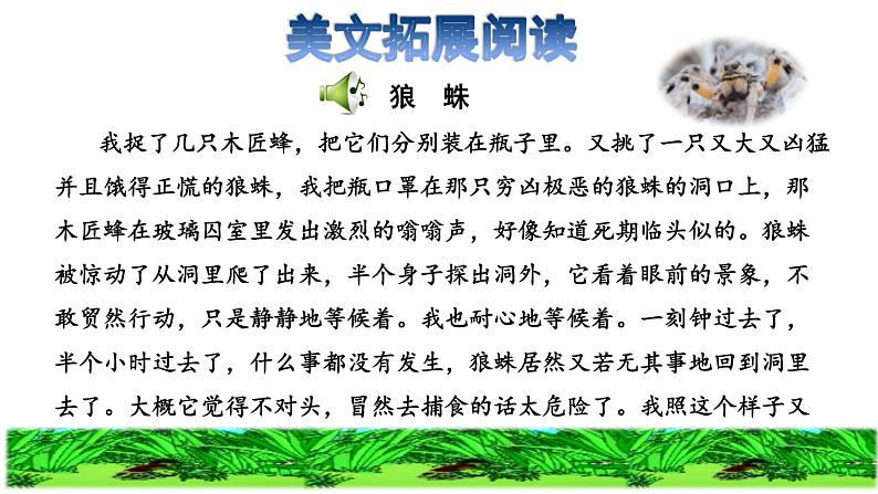 部编版四年级上册语文 第三单元 11 蟋蟀的住宅拓展积累课件第5页