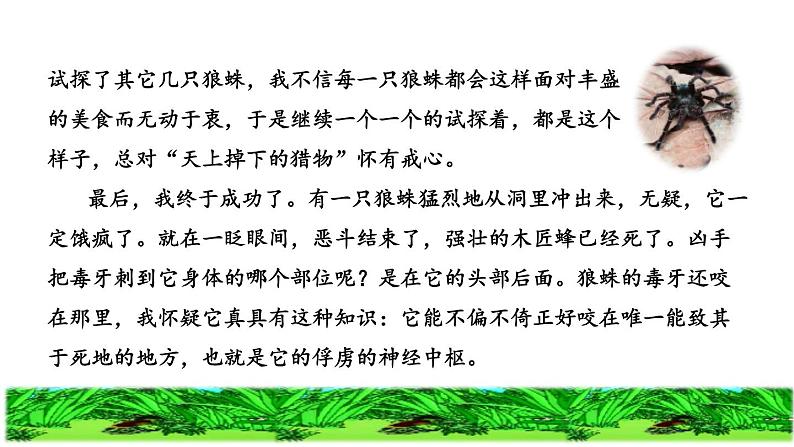 部编版四年级上册语文 第三单元 11 蟋蟀的住宅拓展积累课件第6页
