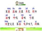 部编版四年级上册语文 第六单元 19.一只窝囊的大老虎初读感知课件