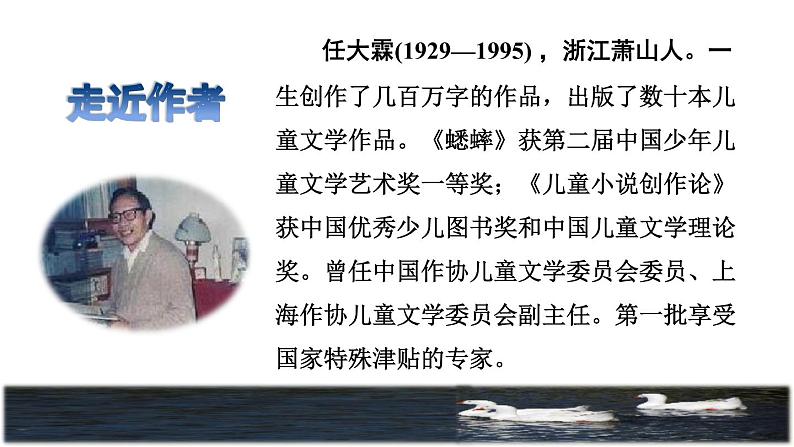 部编版四年级上册语文 第六单元 18.牛和鹅课前预习课件第3页