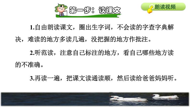 部编版四年级上册语文 第六单元 18.牛和鹅课前预习课件第4页