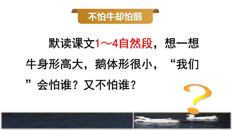 部编版四年级上册语文 第六单元 18.牛和鹅品读释疑课件05