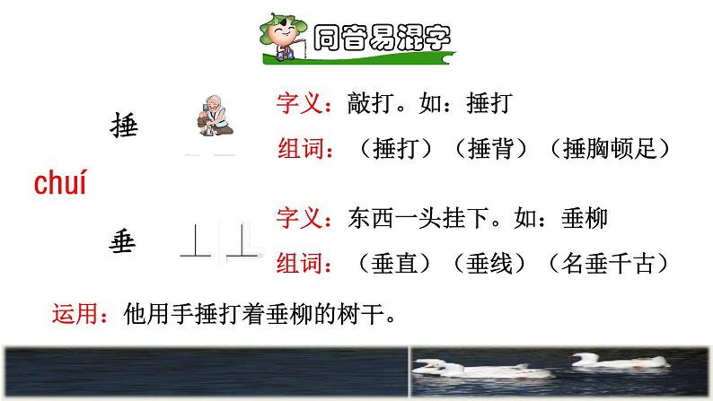 部编版四年级上册语文 第六单元 18.牛和鹅初读感知课件07