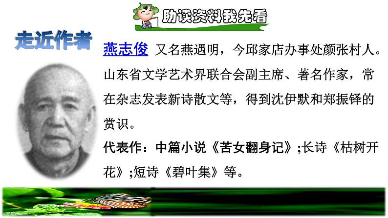 部编版四年级上册语文 第二单元 8.蝴蝶的家课前预习课件04