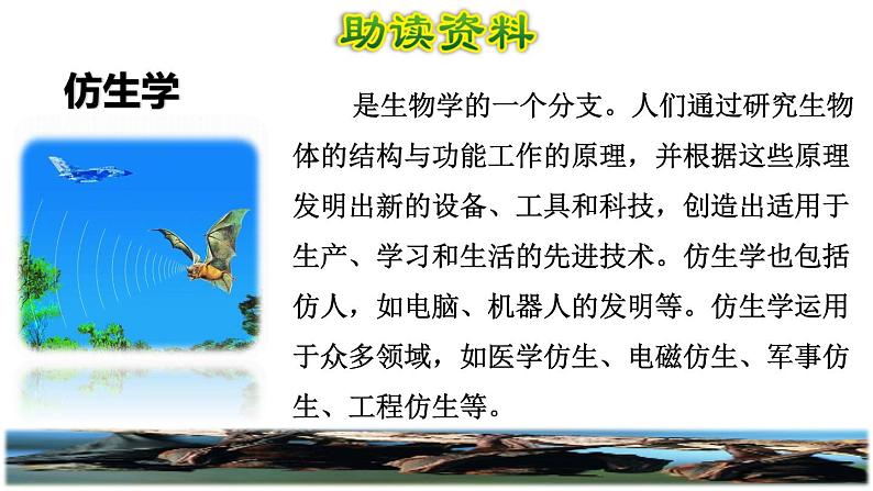 部编版四年级上册语文 第二单元 6.夜间飞行的秘密初读感知课件02