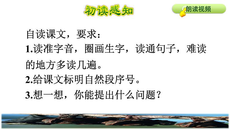 部编版四年级上册语文 第二单元 6.夜间飞行的秘密初读感知课件03