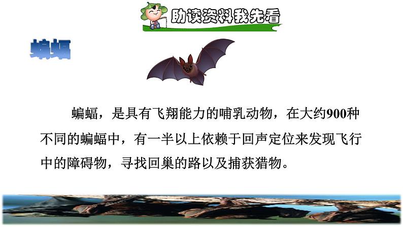 部编版四年级上册语文 第二单元 6.夜间飞行的秘密课前预习课件02