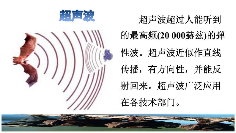 部编版四年级上册语文 第二单元 6.夜间飞行的秘密课前预习课件04