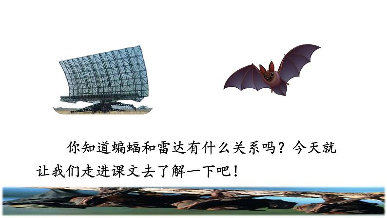部编版四年级上册语文 第二单元 6.夜间飞行的秘密课前预习课件05
