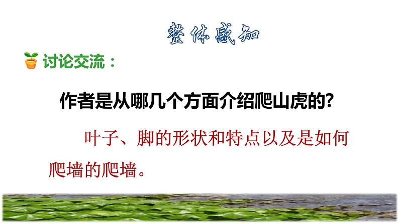 部编版四年级上册语文 第三单元 10爬山虎的脚品读释疑课件第4页