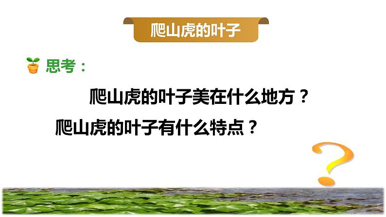 部编版四年级上册语文 第三单元 10爬山虎的脚品读释疑课件第7页