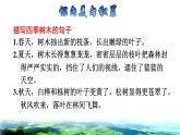 部编版三年级上册语文授课课件 第6单元  20 美丽的小兴安岭拓展积累课件