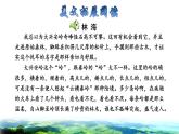 部编版三年级上册语文授课课件 第6单元  20 美丽的小兴安岭拓展积累课件
