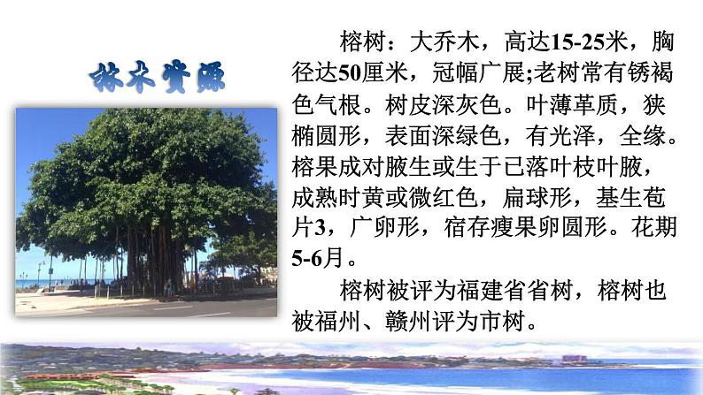 部编版三年级上册语文授课课件 第6单元  19  海滨小城课前预习课件03