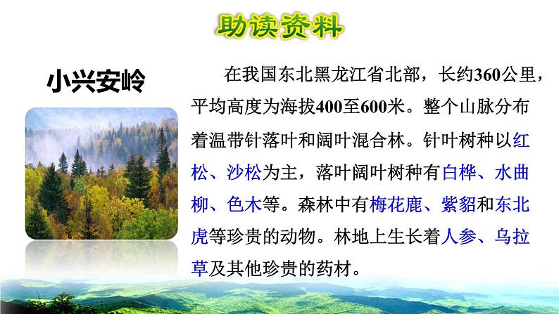 部编版三年级上册语文授课课件 第6单元  20 美丽的小兴安岭初读感知课件03