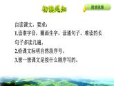 部编版三年级上册语文授课课件 第6单元  20 美丽的小兴安岭初读感知课件