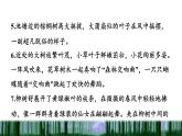 部编版三年级上册语文授课课件 第7单元 22  读不完的大书拓展积累课件