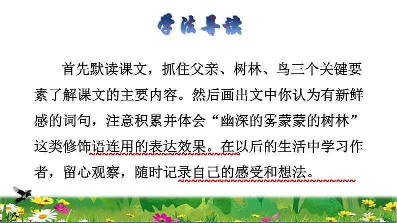 部编版三年级上册语文授课课件 第7单元 23  父亲、树林和鸟品读释疑课件03