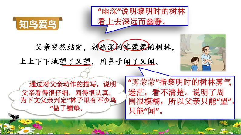 部编版三年级上册语文授课课件 第7单元 23  父亲、树林和鸟品读释疑课件07