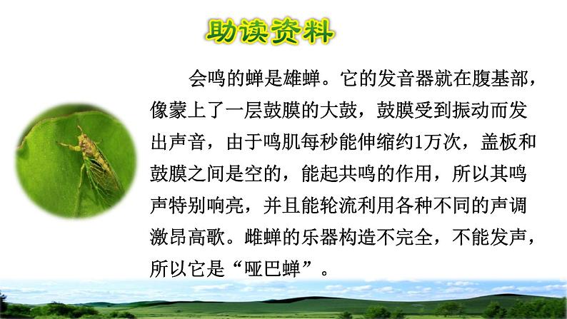 部编版三年级上册语文授课课件 第7单元 21 大自然的声音初读感知课件第3页