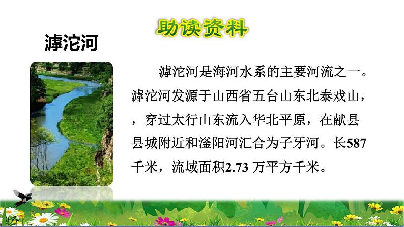 部编版三年级上册语文授课课件 第7单元 23  父亲、树林和鸟初读感知课件03