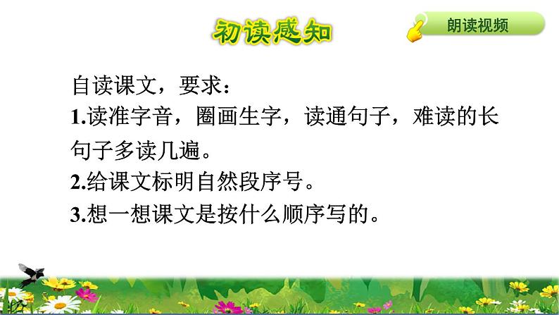 部编版三年级上册语文授课课件 第7单元 23  父亲、树林和鸟初读感知课件05