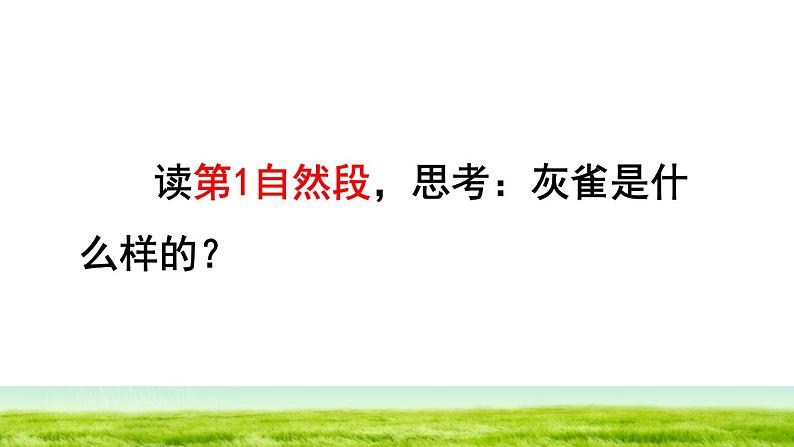 部编版三年级上册语文授课课件 第8单元 26  灰雀品读释疑课件04