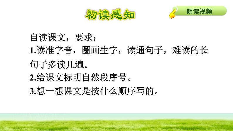 部编版三年级上册语文授课课件 第8单元 26  灰雀初读感知课件第5页