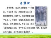 部编版三年级上册语文授课课件 第8单元 26  灰雀课前预习课件