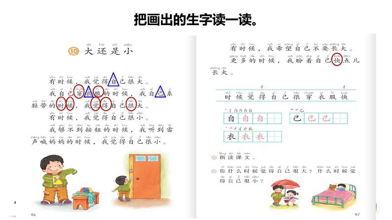 部编版一年级上册语文 第7单元10.大还是小初读感知课件第4页