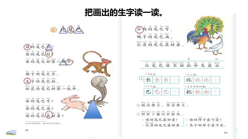 部编版一年级上册语文 第6单元 6.比尾巴初读感知课件第3页