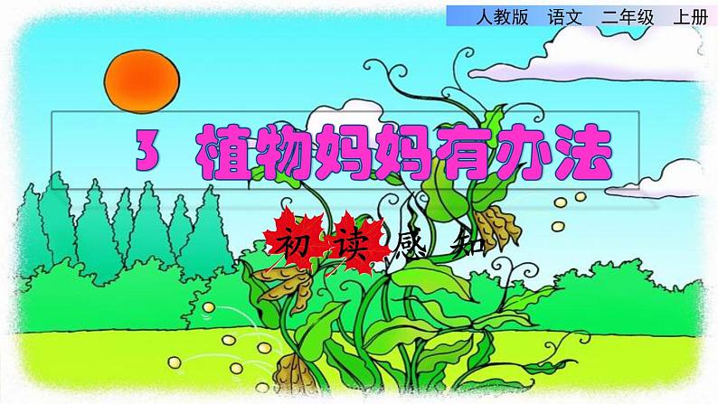 部编版二年级上册语文 3.植物妈妈有办法初读感知课件01