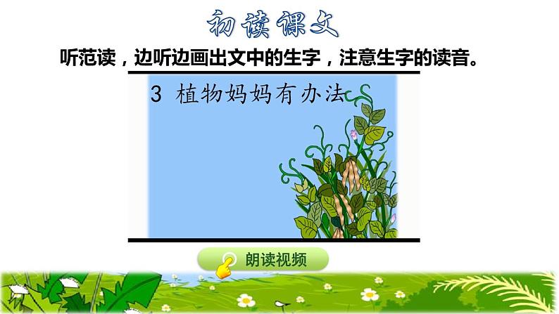 部编版二年级上册语文 3.植物妈妈有办法初读感知课件04