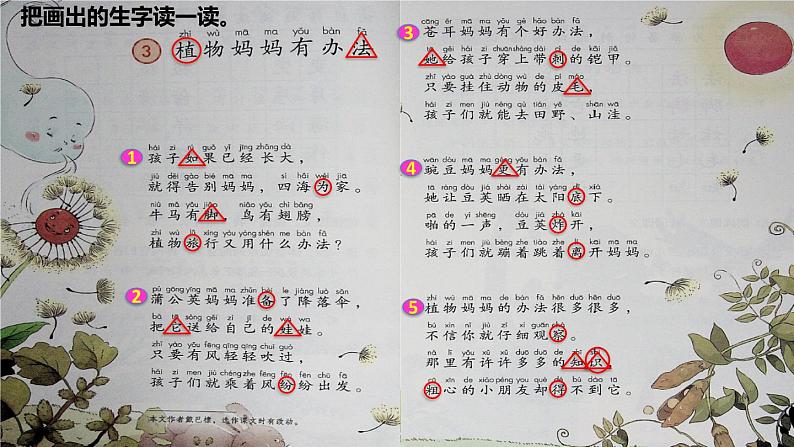 部编版二年级上册语文 3.植物妈妈有办法初读感知课件05